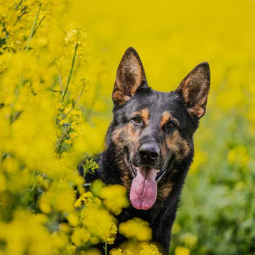Photo #12355515