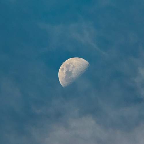 Veil of the Moon