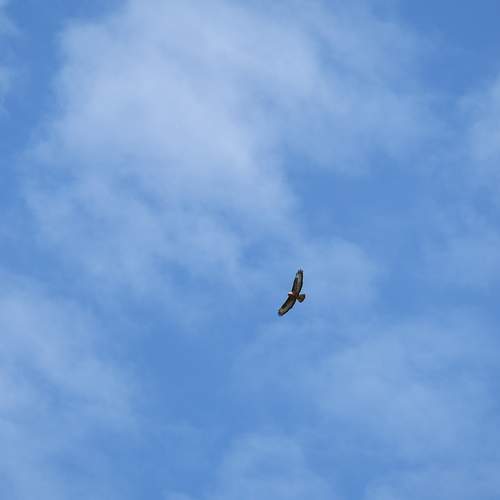 Фотография #12356039