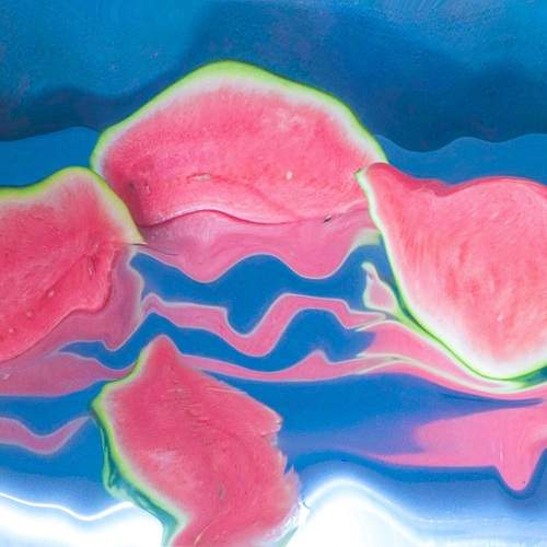 Photo #12356167