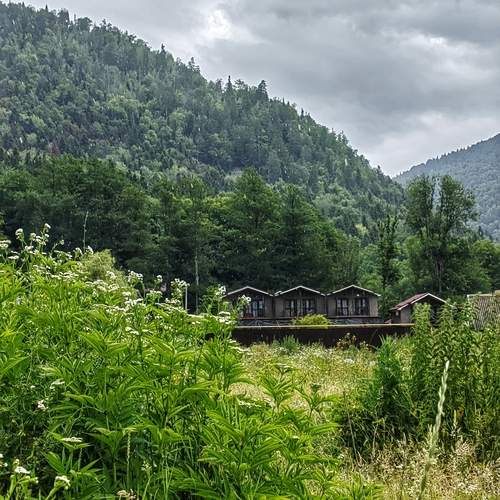 Photo #12356174