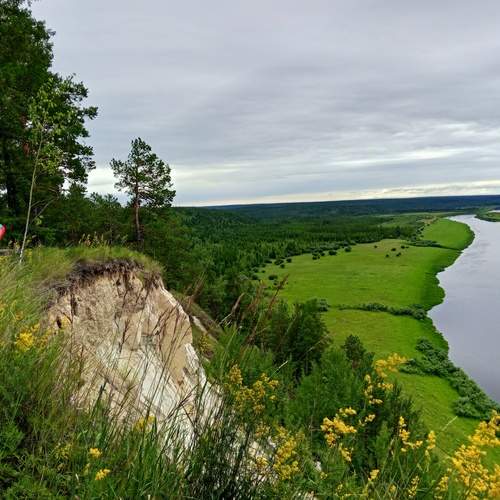 Photo #12356176