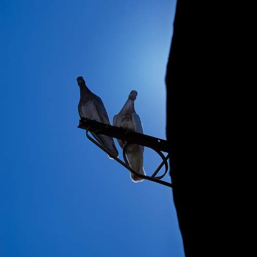 Photo #12356469