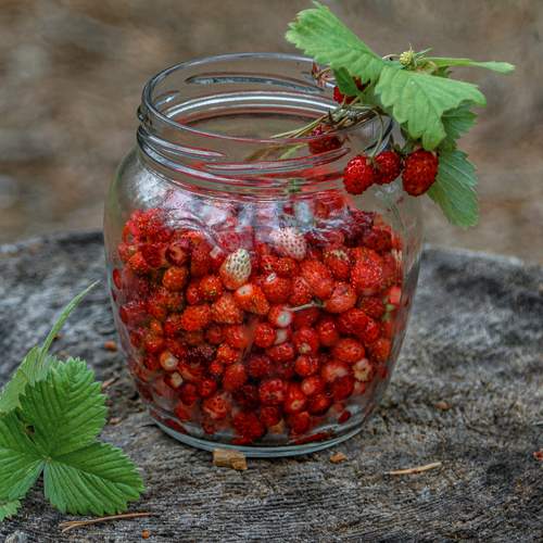 Photo #12356588