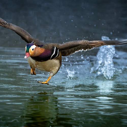 Фотография #12356636