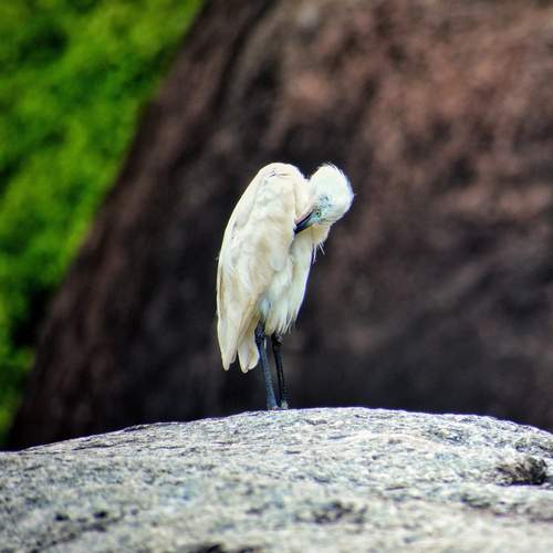 Photo #12356667