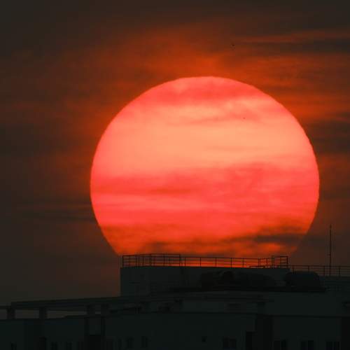 Photo #12356781