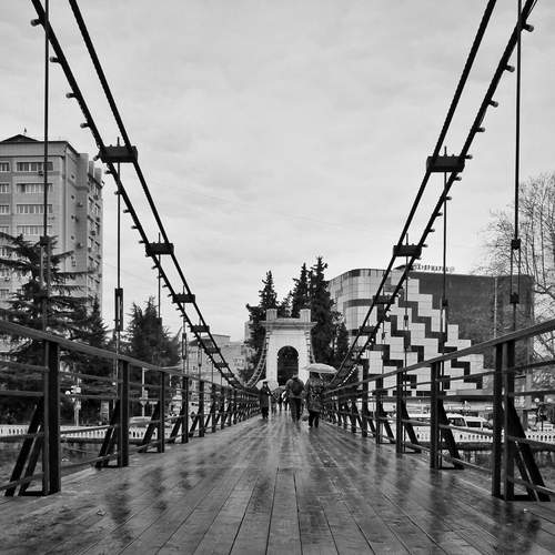 Photo #12356926