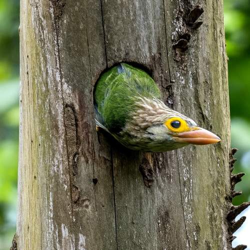 Photo #12356954