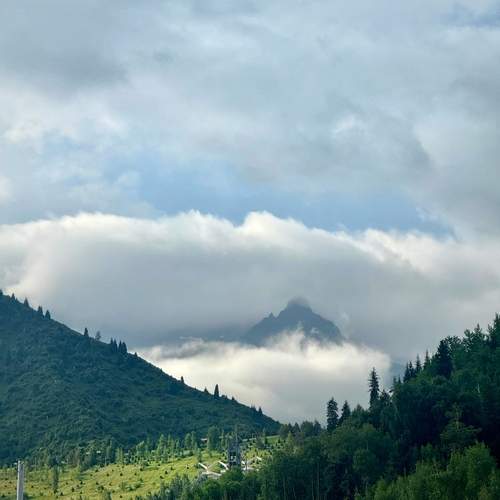 Photo #12357002