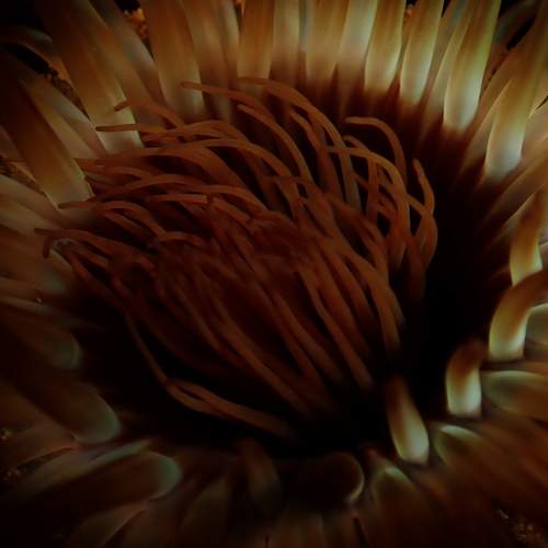 Photo #12357328