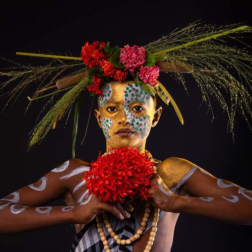 Guardian of the Wild