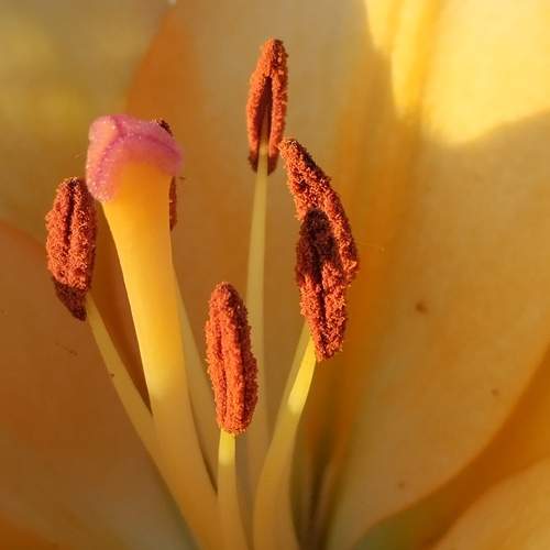 Photo #12357519
