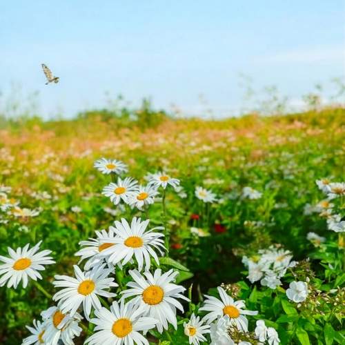Photo #12357536