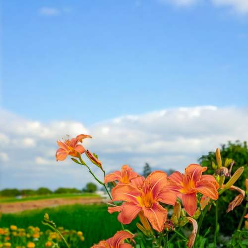Photo #12357540