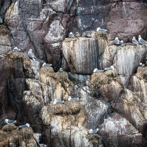 Фотография #12358037