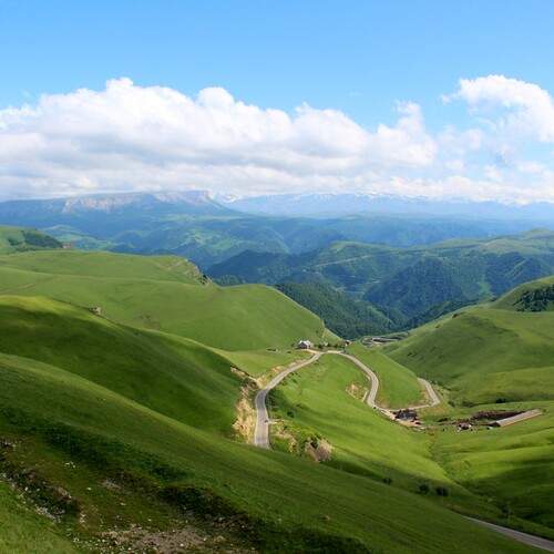 Photo #12358330