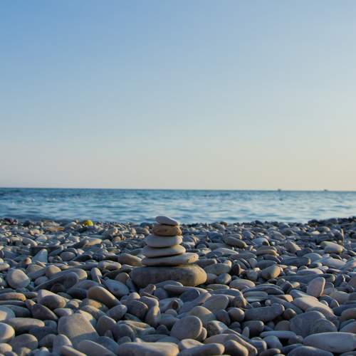 Photo #12358431
