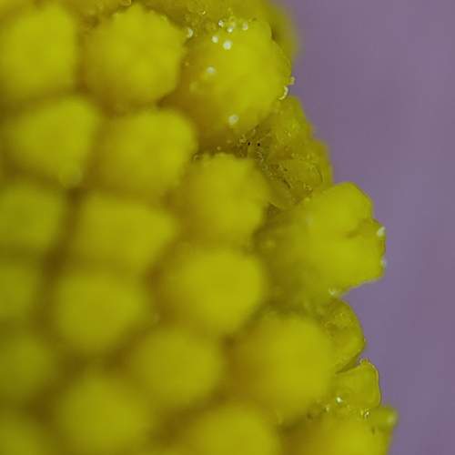 Photo #12358780