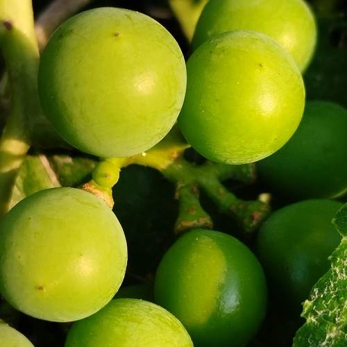 Photo #12358933