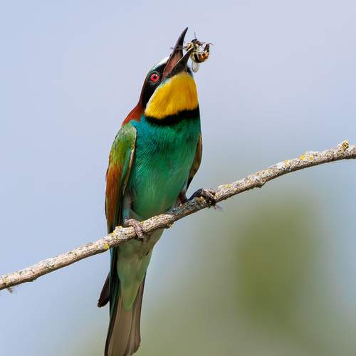 Фотография #12359117