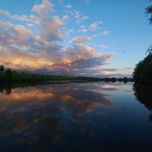 Photo #12359540