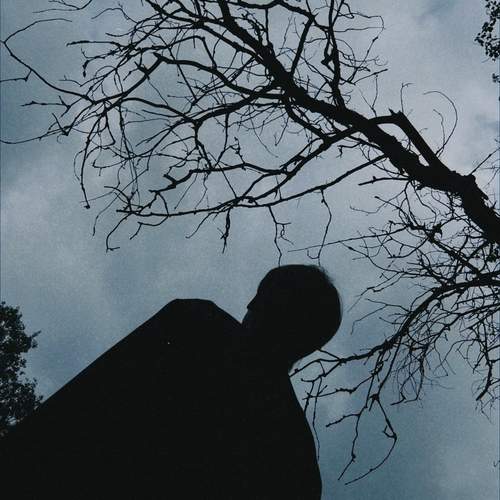Photo #12360065