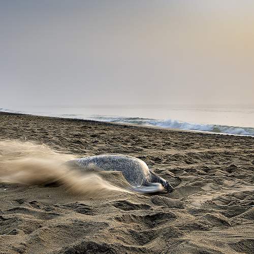 Photo #12360654
