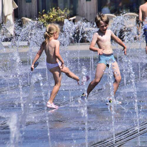 Photo #12360675