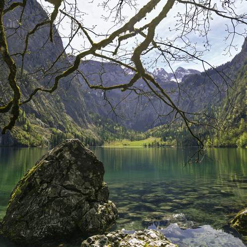 Obersee