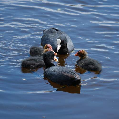 Photo #12360853