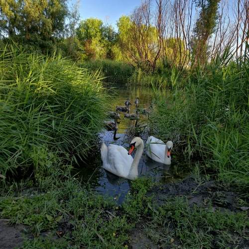 Photo #12361294