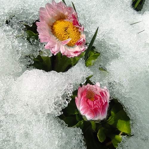 Photo #12361309