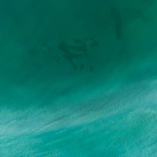 Photo #12362270
