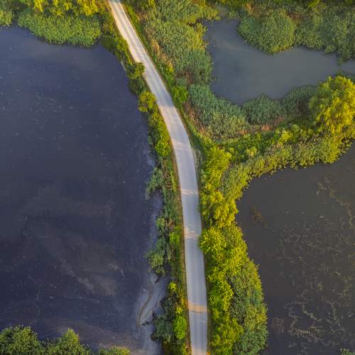 Photo #12362312