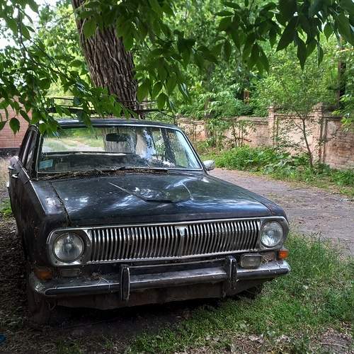 Photo #12362348