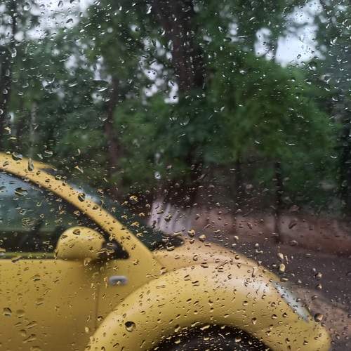 Photo #12362350