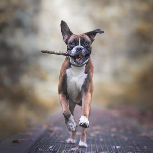 Фотография #12362581