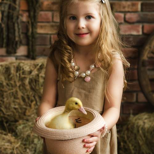 Photo #12362704