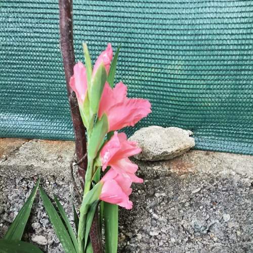 Photo #12363346