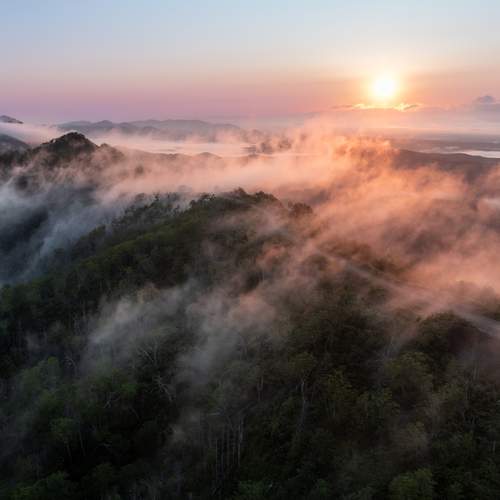 Photo #12363825