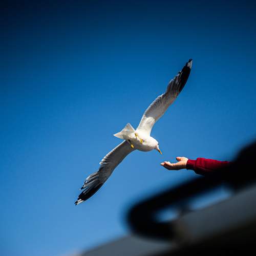 Photo #12363945
