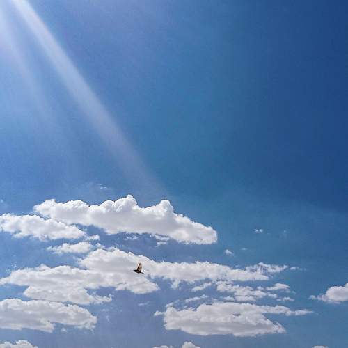 Photo #12364180
