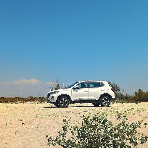 Photo #12364559