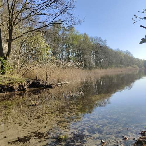 Photo #12364574