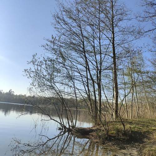Photo #12364578