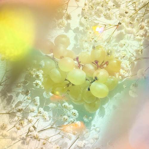 Photo #12364607
