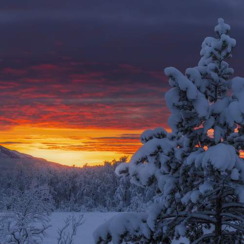 Photo #12364614