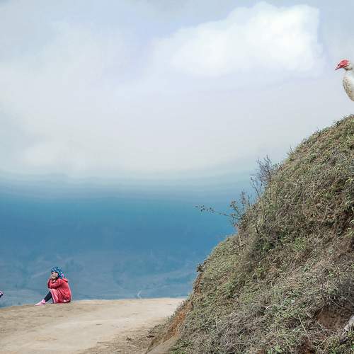 Photo #12365049