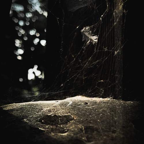 Photo #12365407
